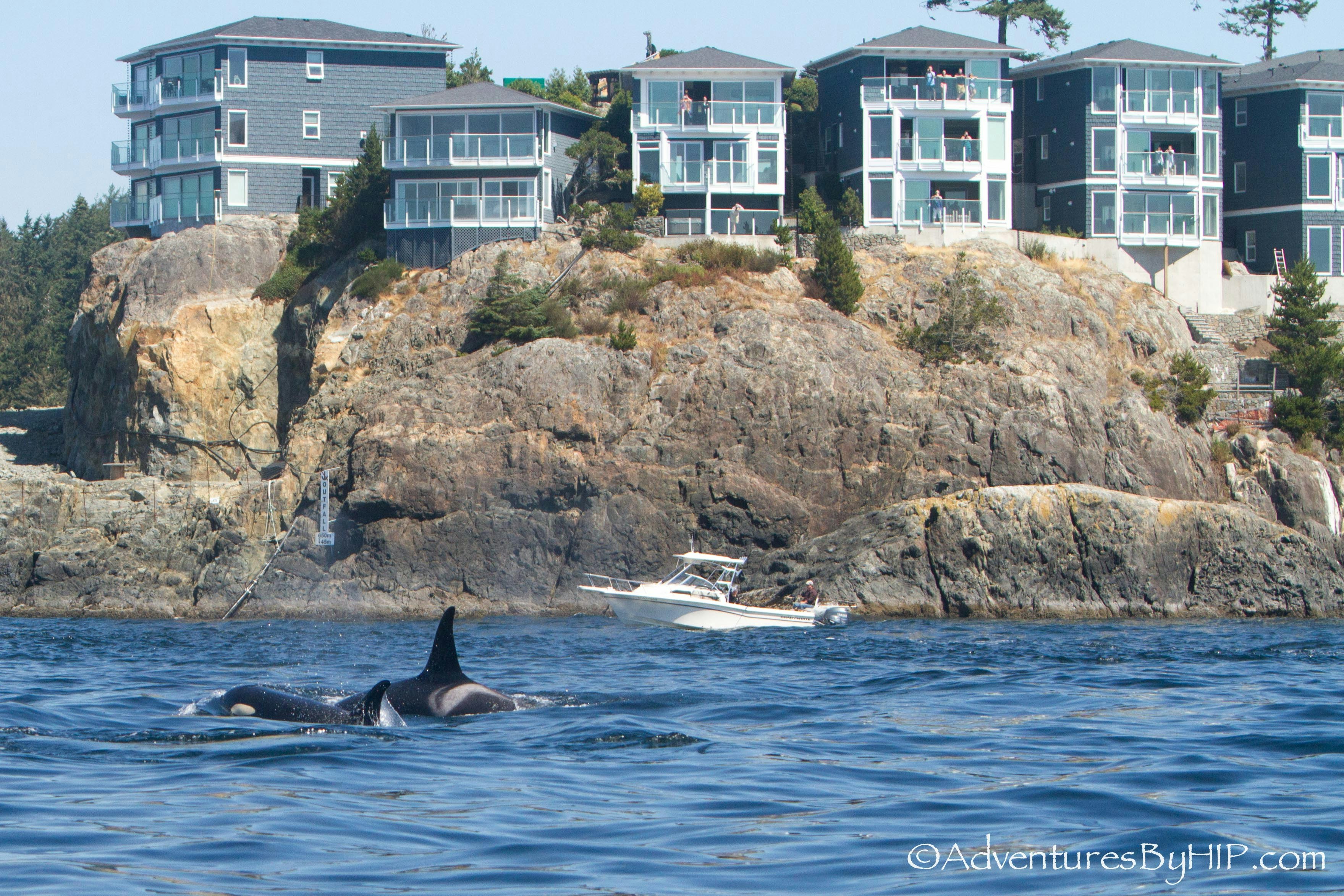 SookePoint Ocean Cottage Resort 18/21