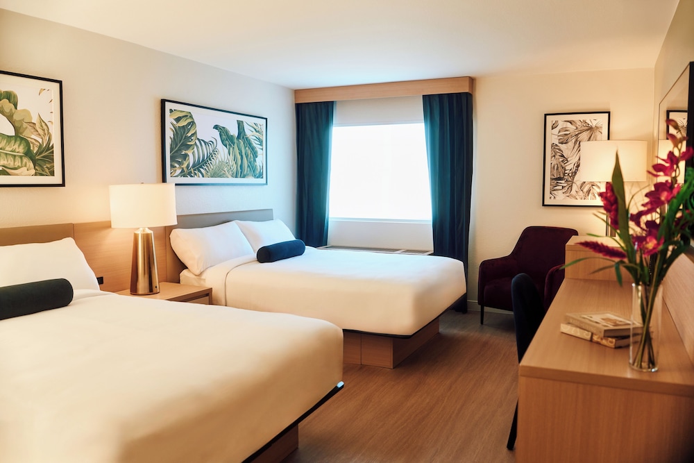 Premium, 2 Queen Beds