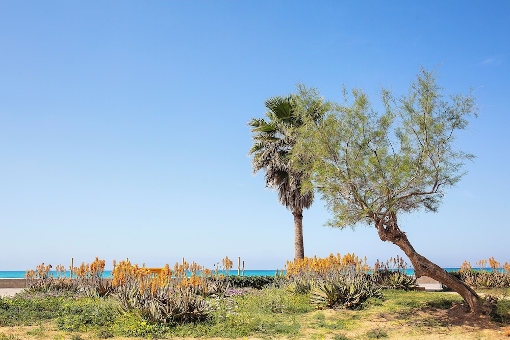 BQ Carmen Playa Hotel - Adults Only 57/63