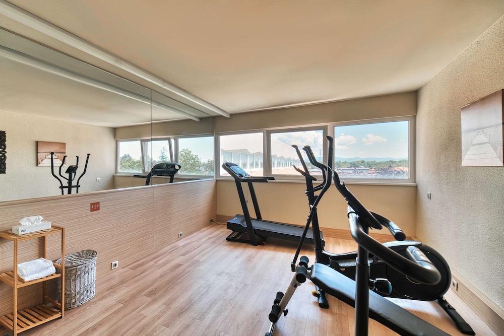 Kyriad Prestige Mulhouse Basel 27/50