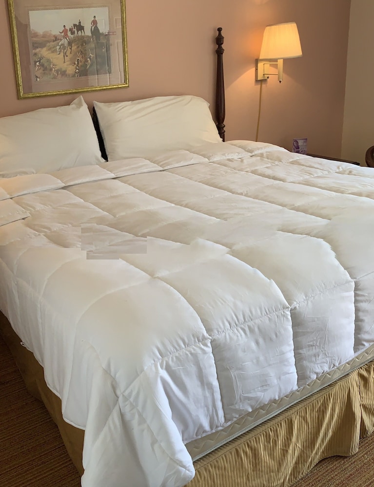 Red Carpet Inn 20/38