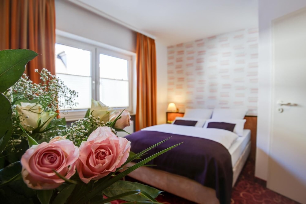 Rhein Neckar Hotel Mannheim 19/44