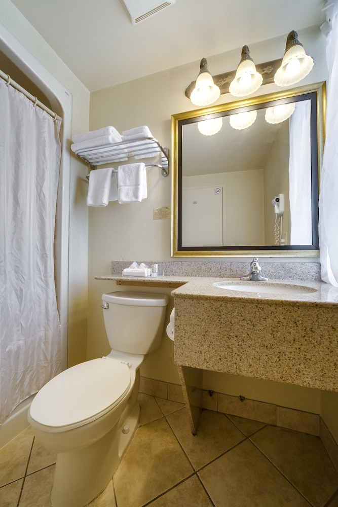 Monte Carlo Inn Toronto West Suites 9/65