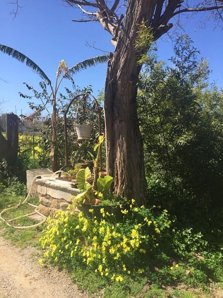 Villa Nicetta 15/17