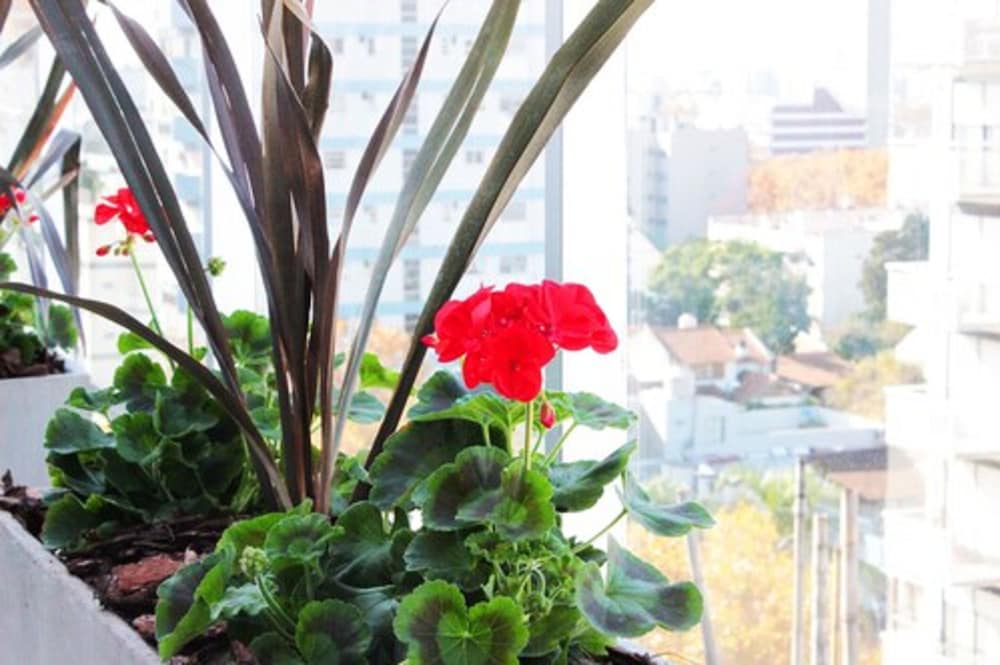 Hotel Master Suite Devoto 45/50