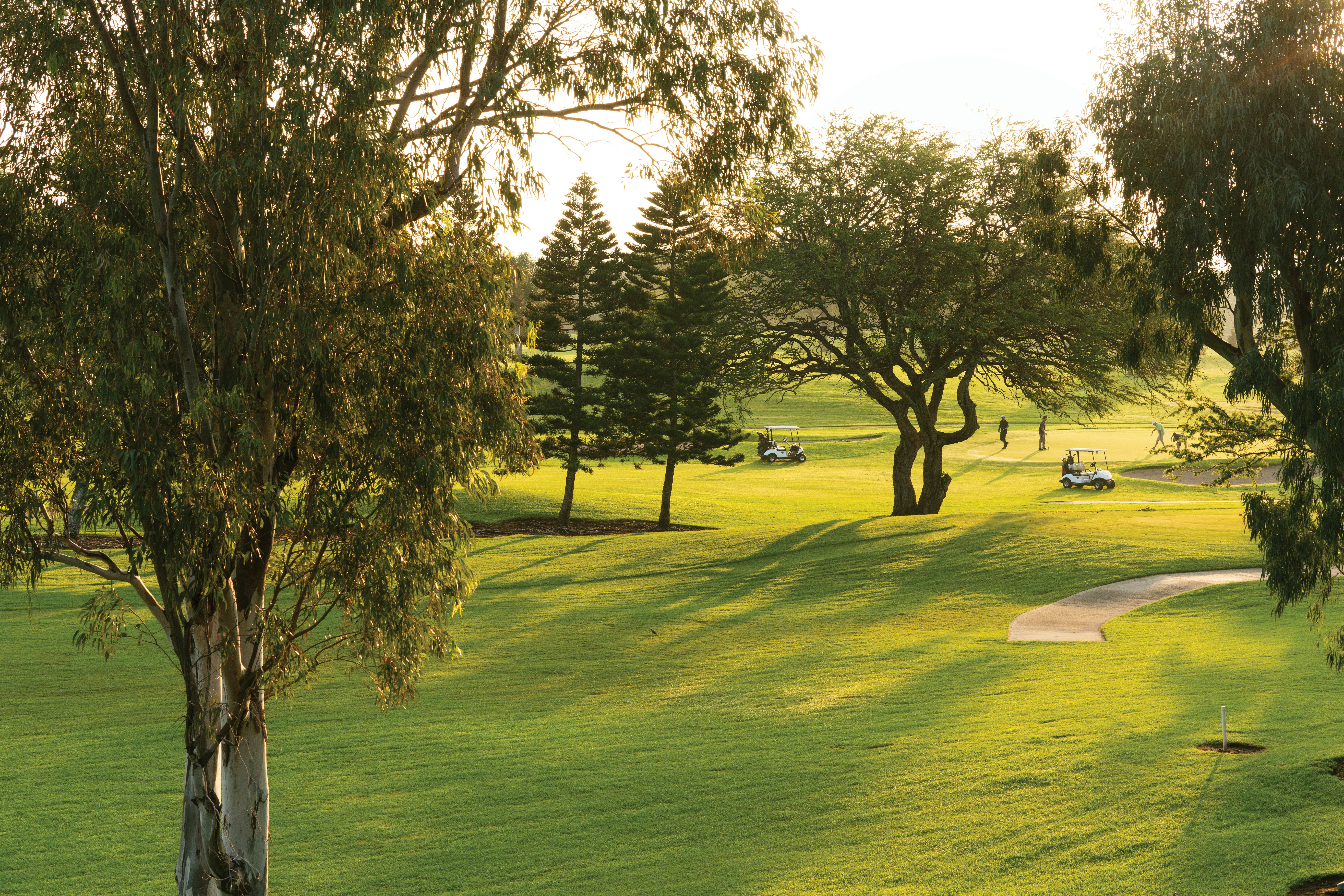 Paniolo Greens at Waikoloa Village 75/79