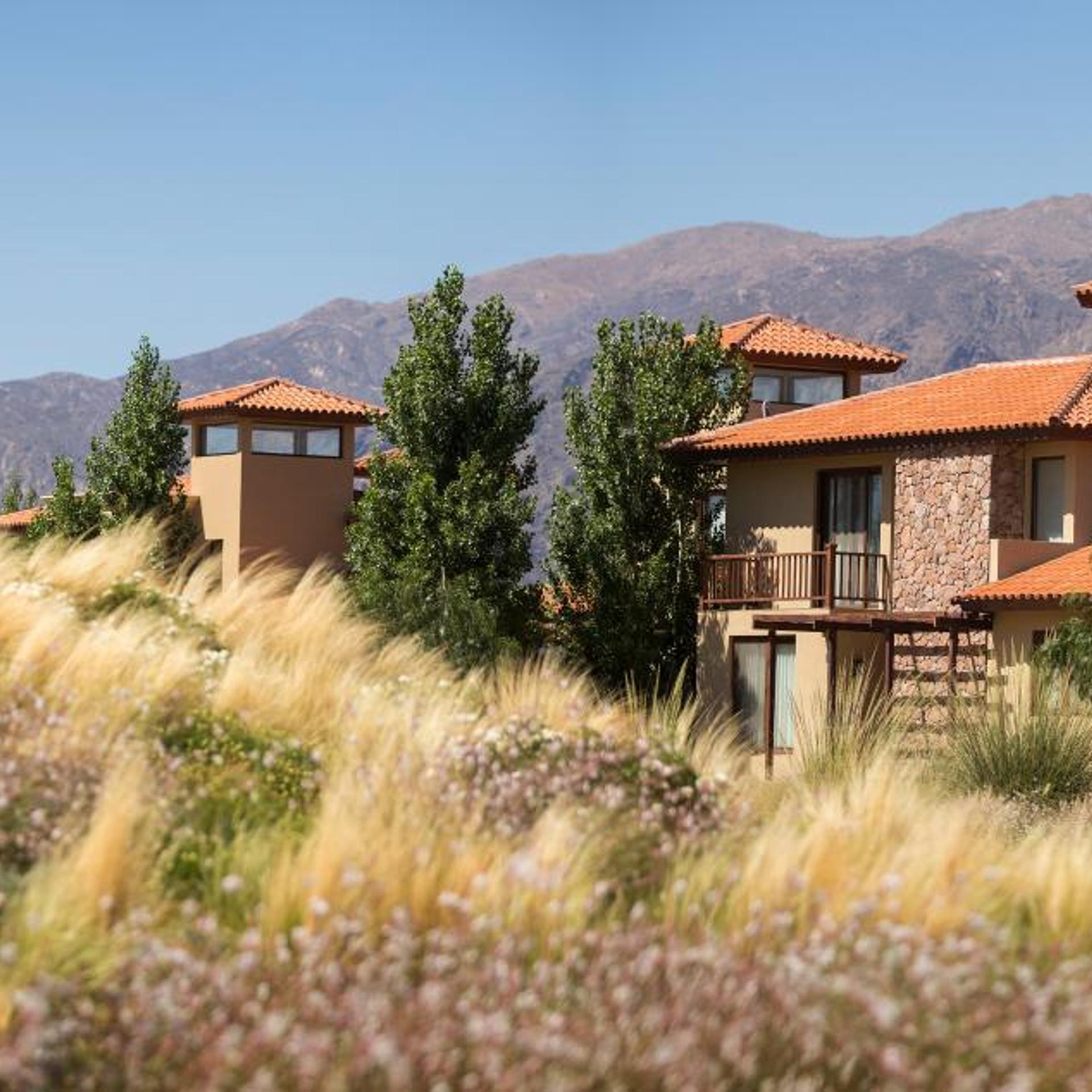 Grace Cafayate 3/50