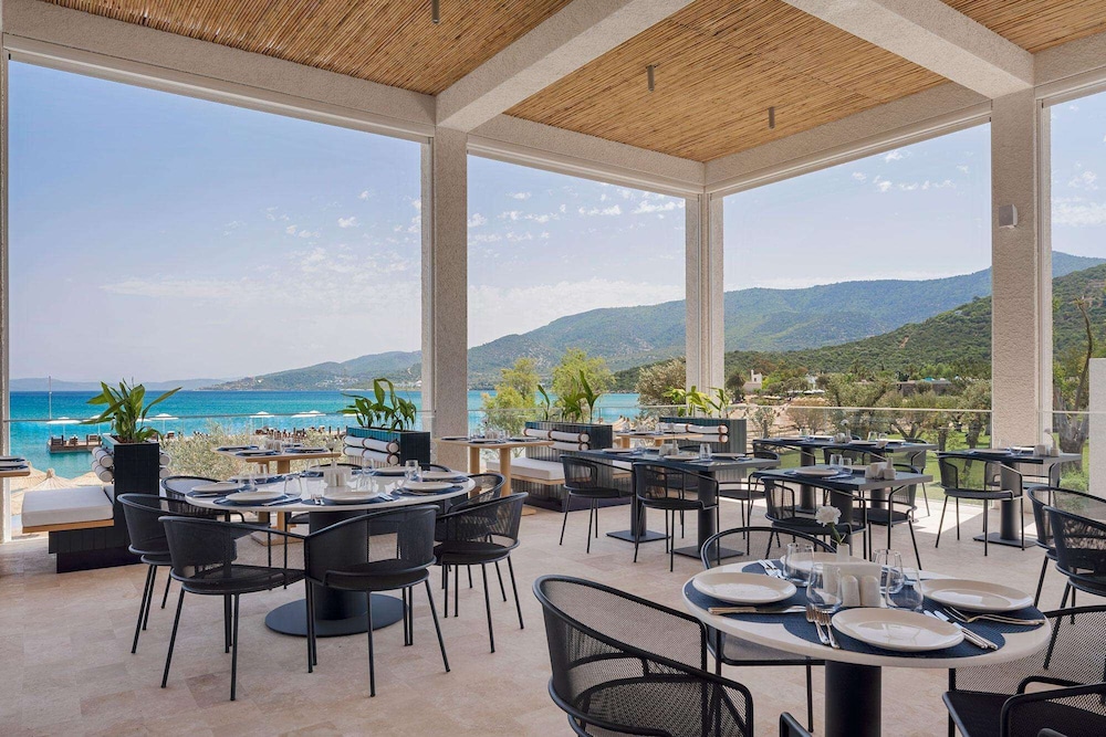 Voyage Torba 33/49