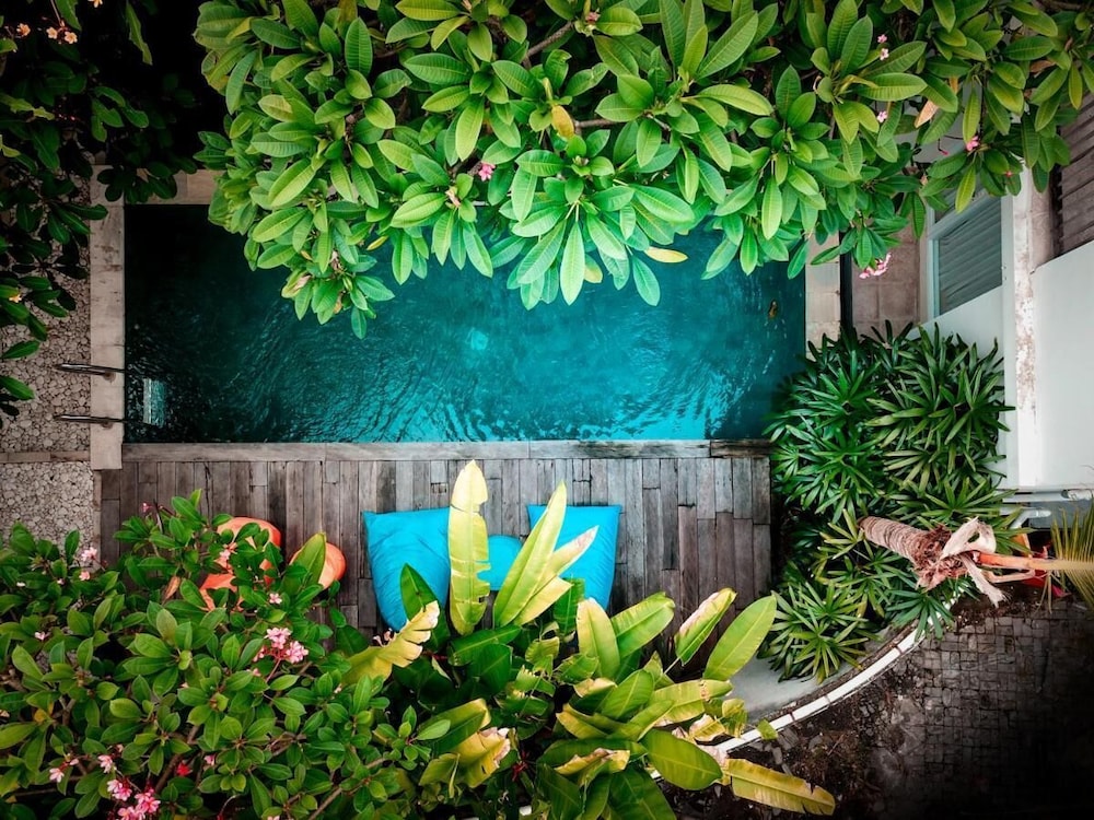 Hola Seminyak 36/50