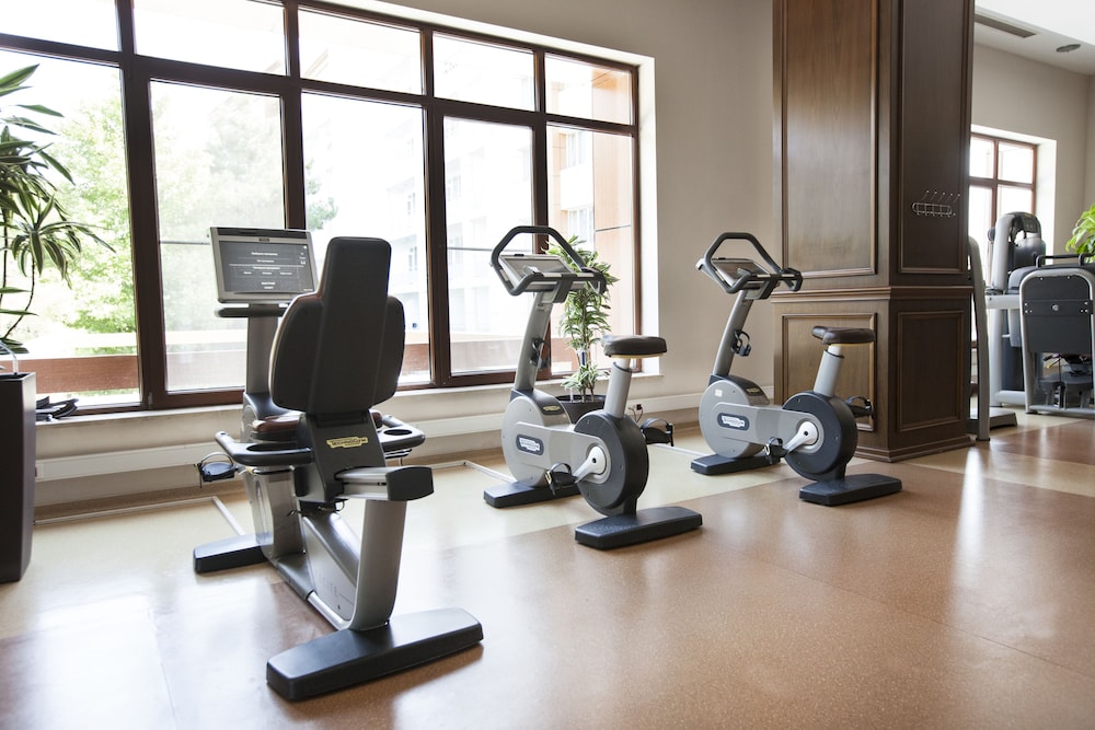 Chinar Hotel & Spa 27/50