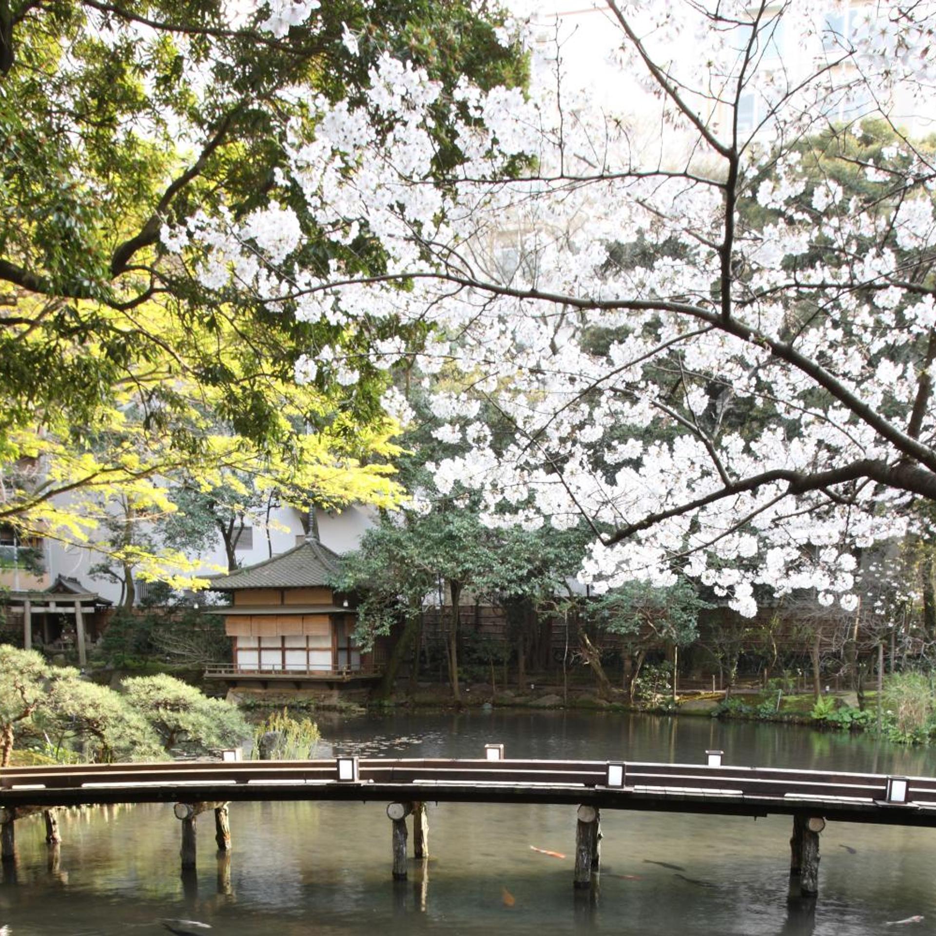 Hotel Garden Square Shizuoka 41/46