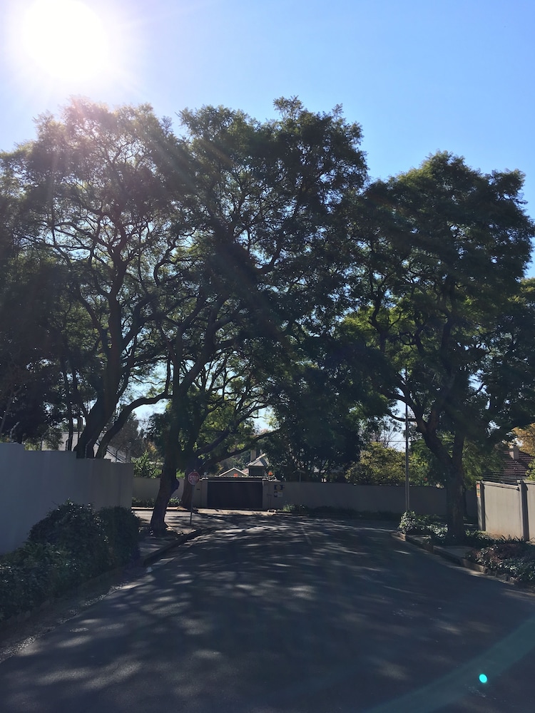 Maison Jacaranda 40/50