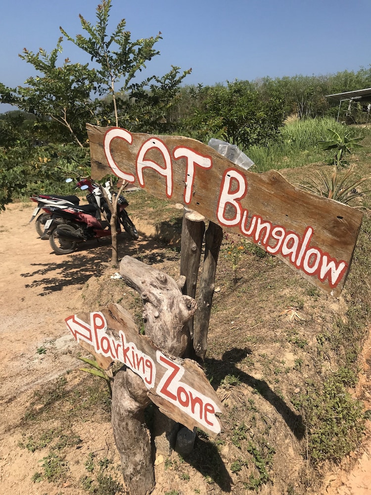 Cat Bungalow 47/66