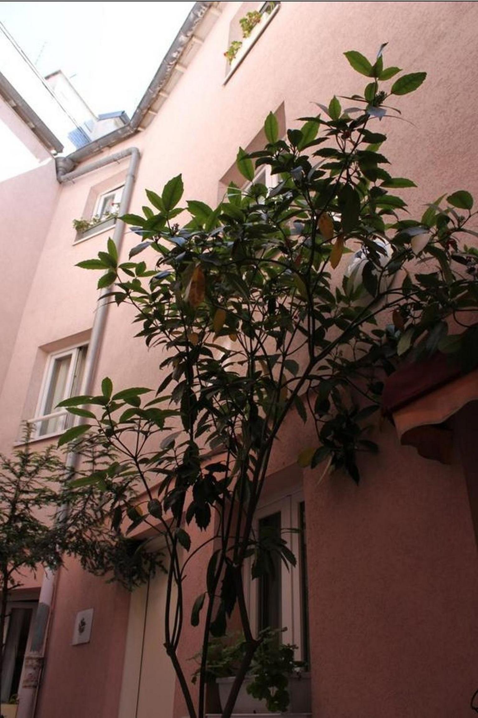 Hotel Aladin 21/23