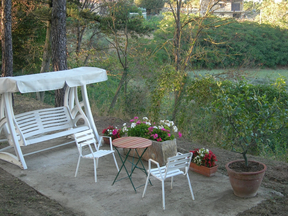Primavera 38/50