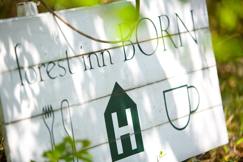 Forest Inn Born 1/19