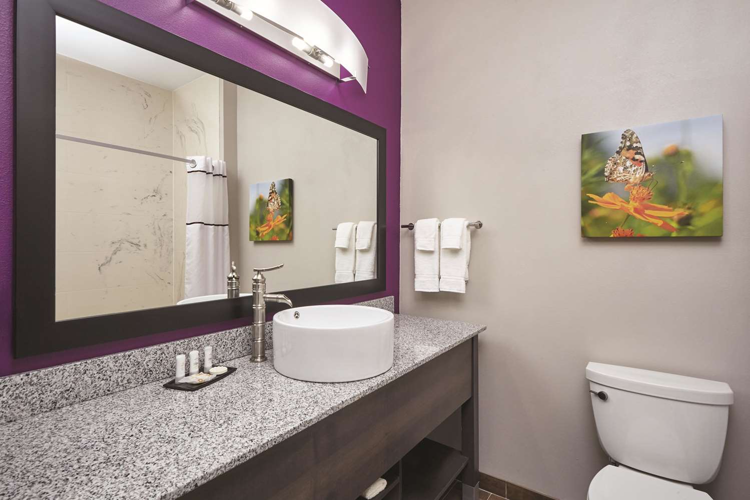 La Quinta Inn And Suites By Wyndham Springfield IL 59/63