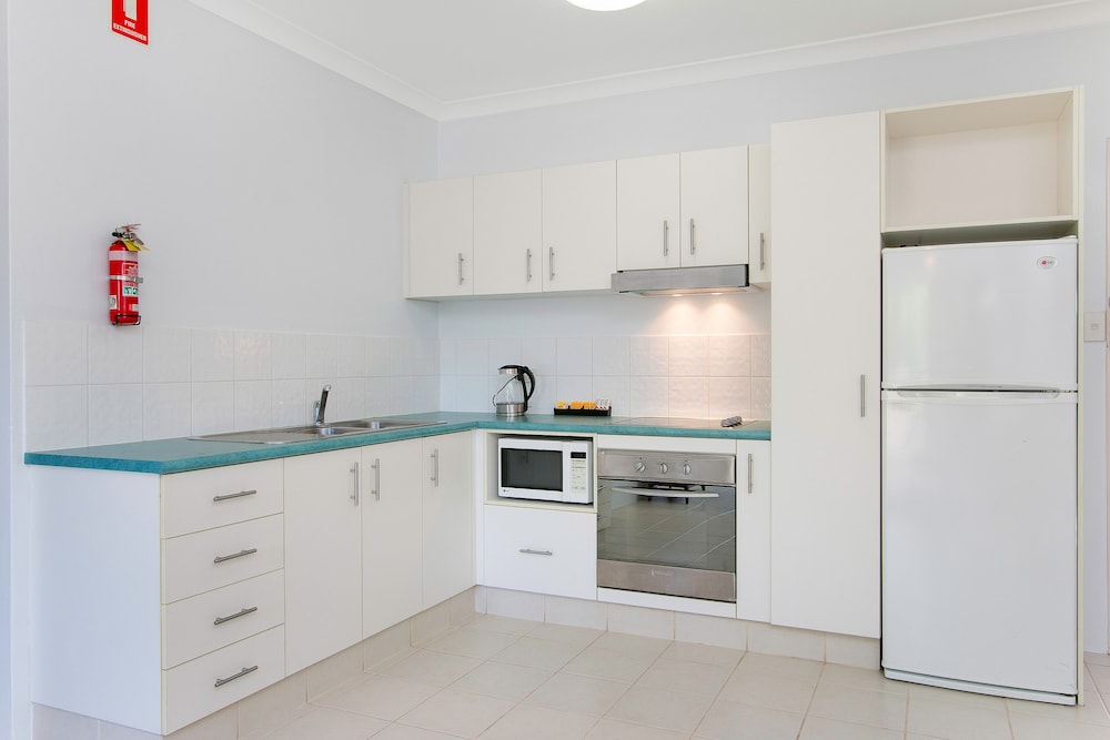 CAIRNS CITY PALMS 13/59