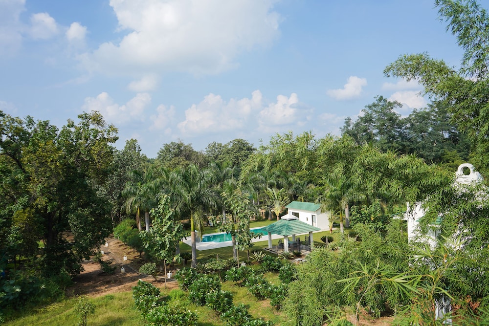 Village Machaan Resort 34/46