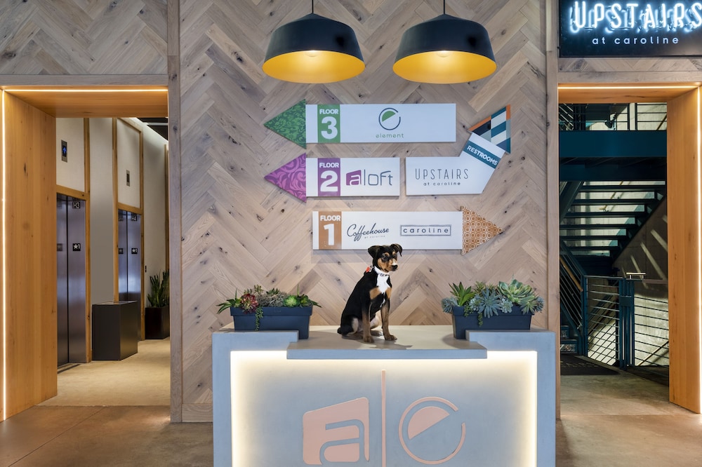 Aloft Austin Downtown 32/58