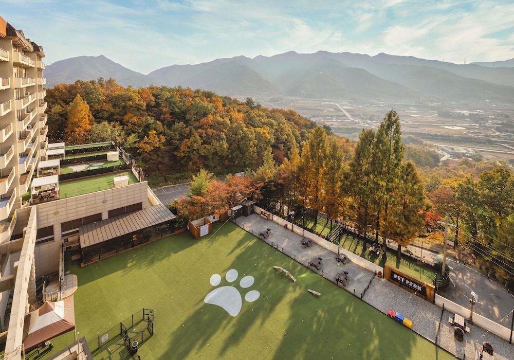 Kensington Resort Chungju 47/50