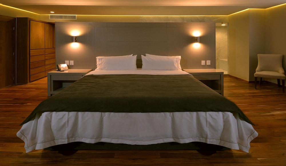 Holiday Inn Express Pachuca 17/57