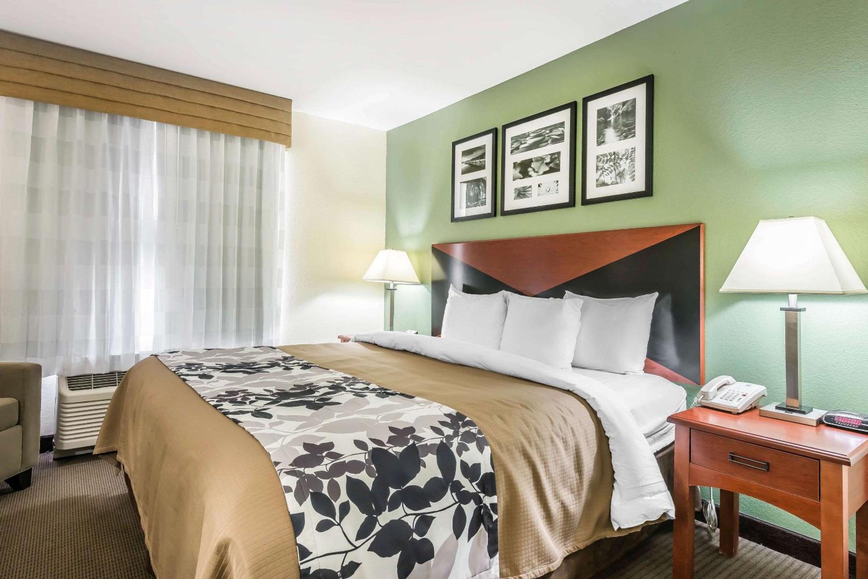 ROOM, KING BED