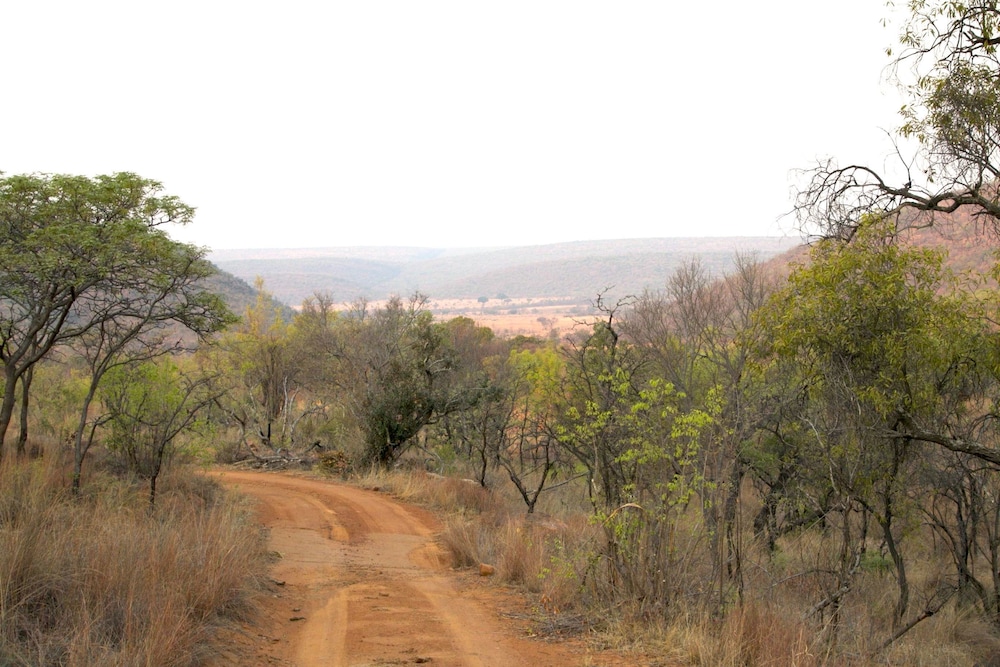 Inzalo Safari Lodge 25/45