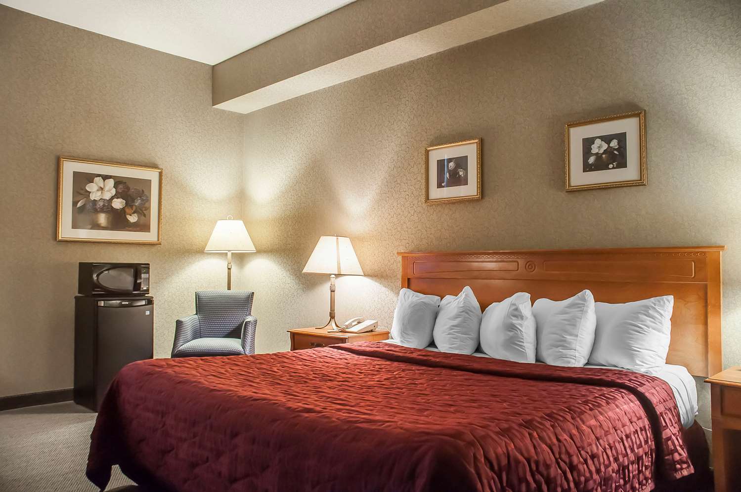 Comfort Inn Lundy's Lane 14/40