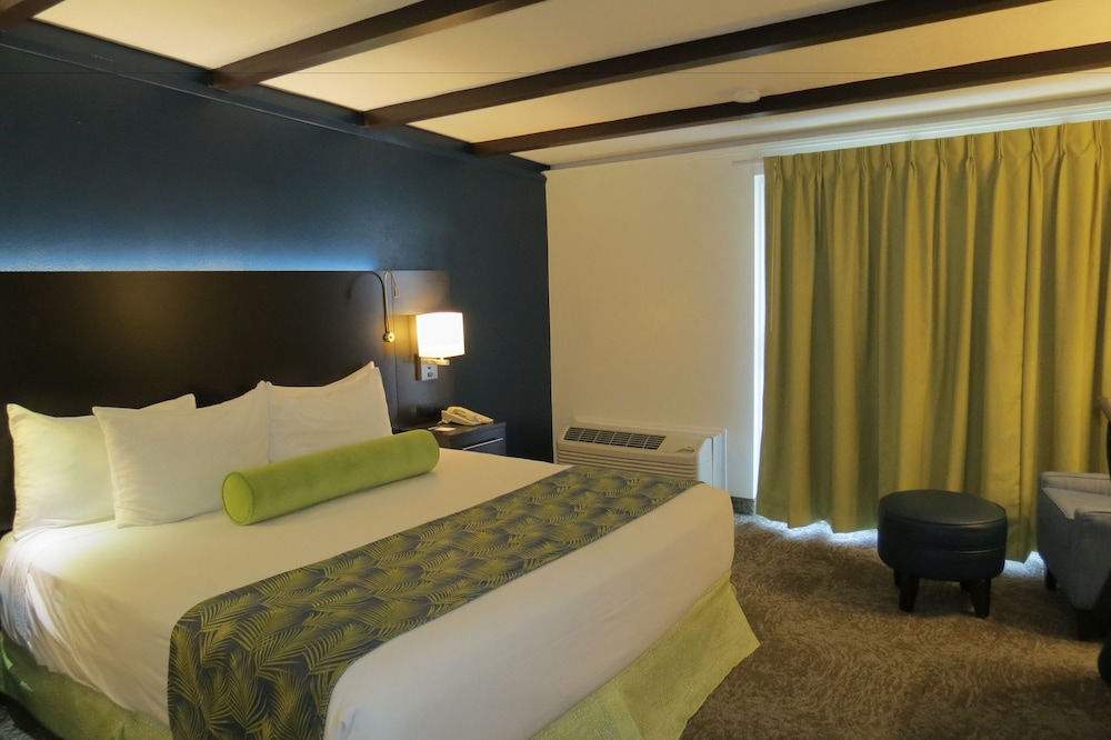 ROOM, KING BED