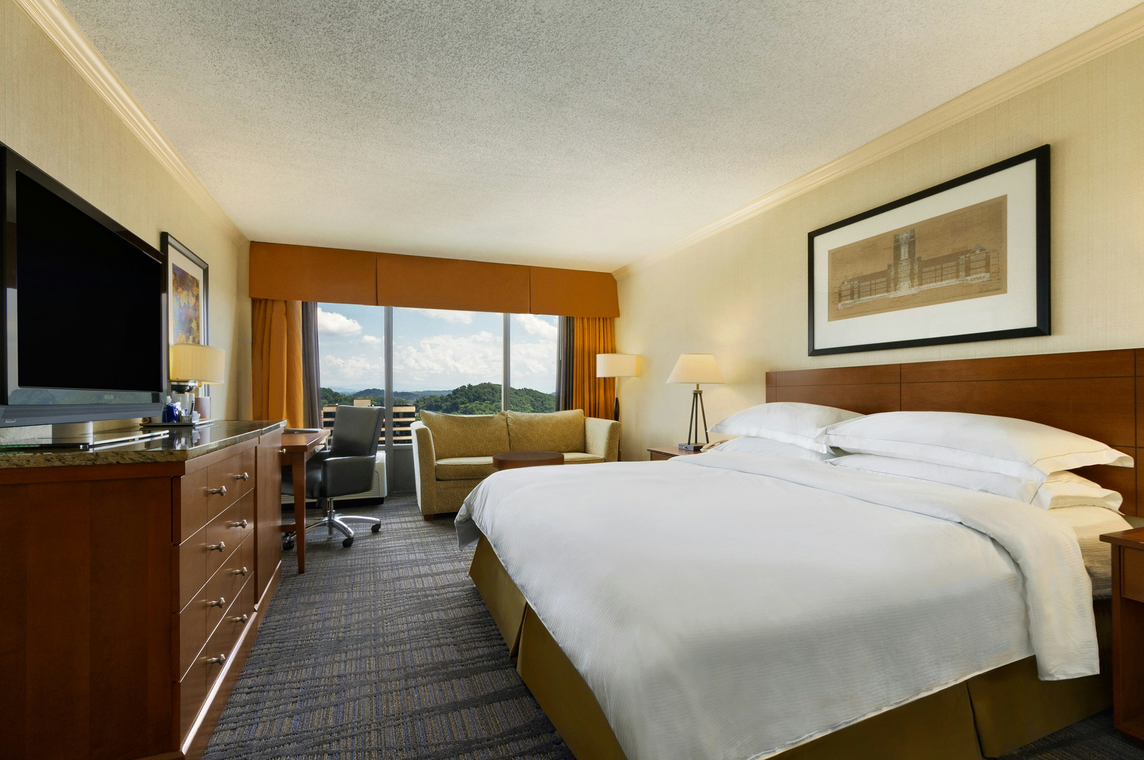 ROOM, KING BED, ACCESSIBLE
