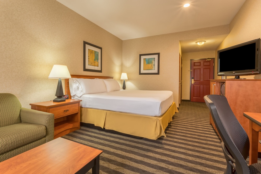 Holiday Inn Express Hotel and Suites Manteca City Center 23/76