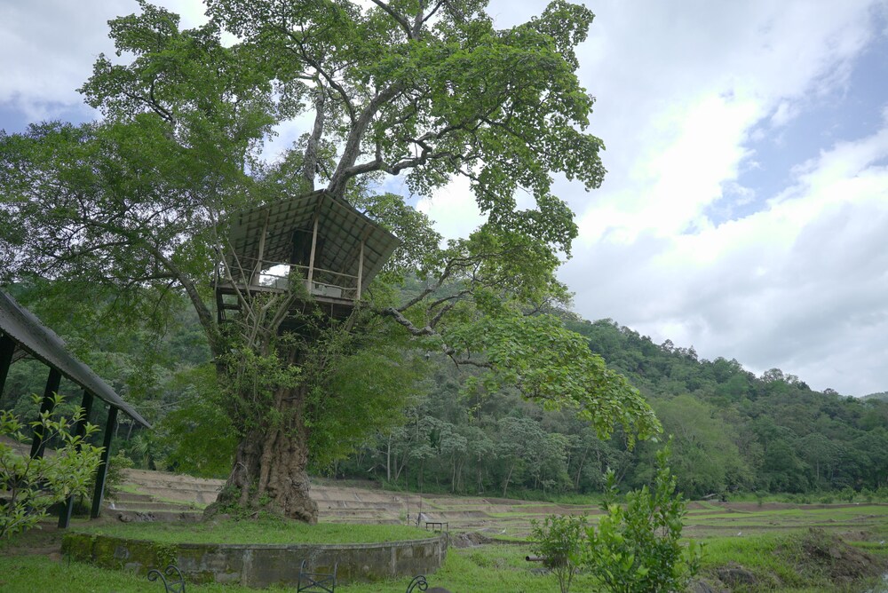 Ella Jungle Resort 26/37