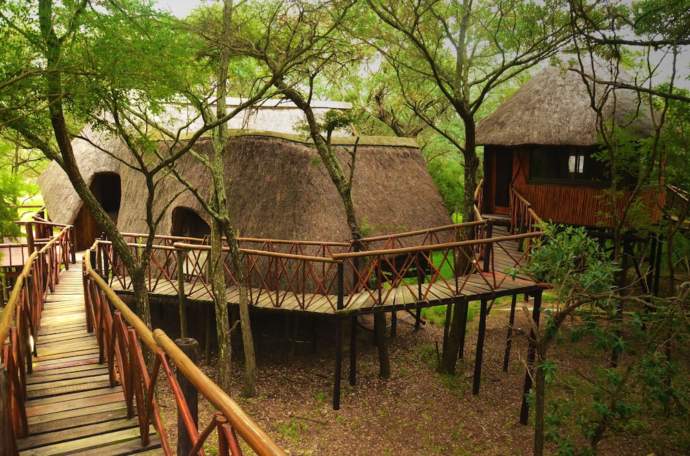 Pezulu Tree House Lodge 40/50