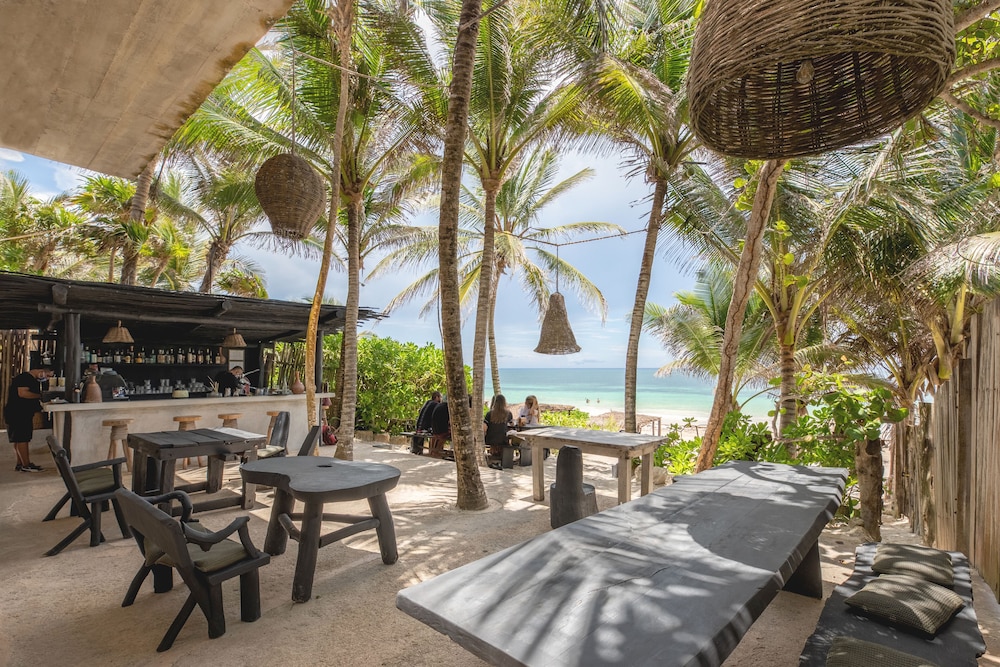 NEST Tulum 38/50