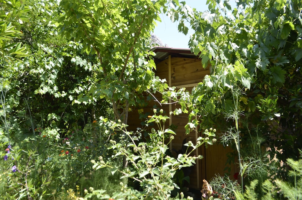 Olympos Mercan Pansiyon 33/50