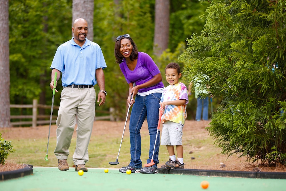 Stone Mountain Inn 39/46