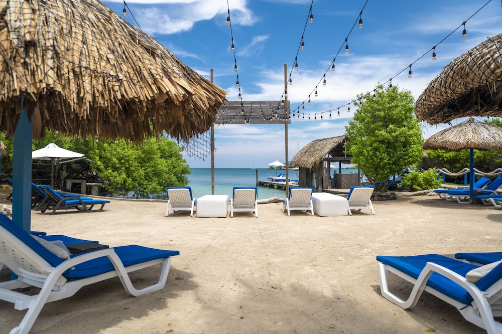 Hotel Coralina Island 24/50