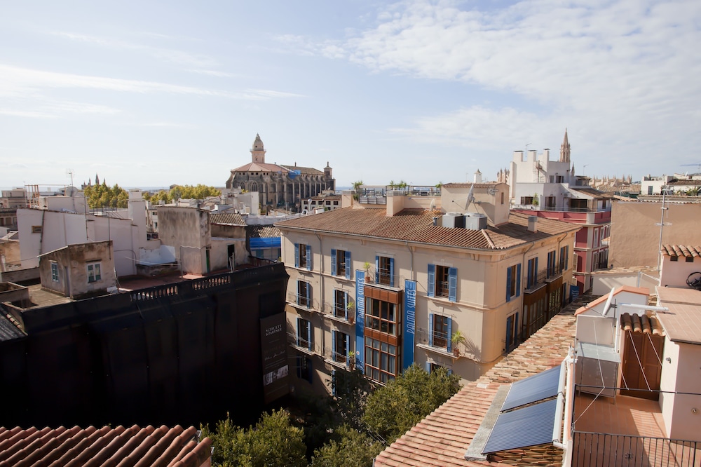Palma Suites 4/50