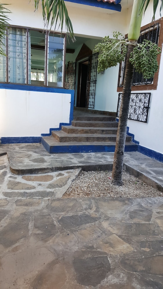 Blue Rooms 20/21