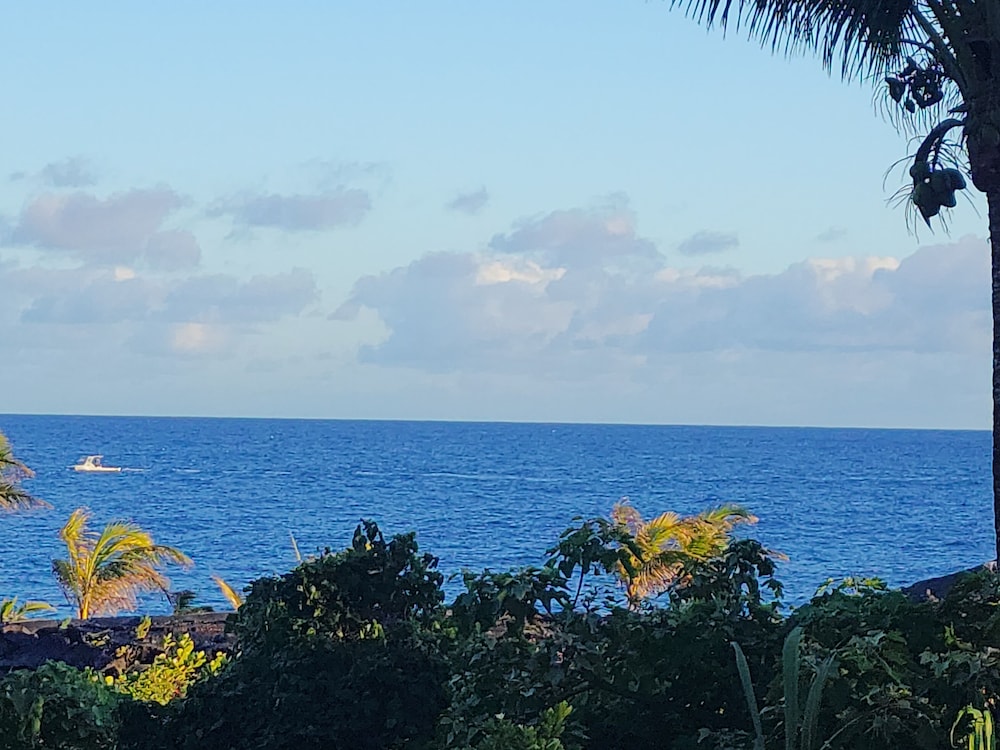Ma'ukele Lodge 27/50