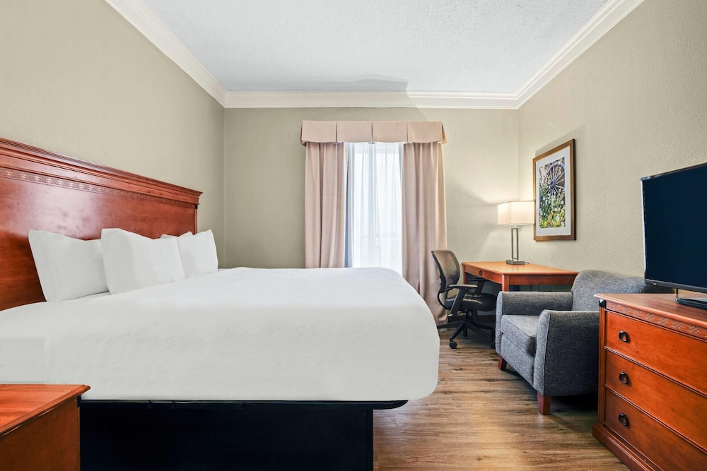 Suite, King Bed