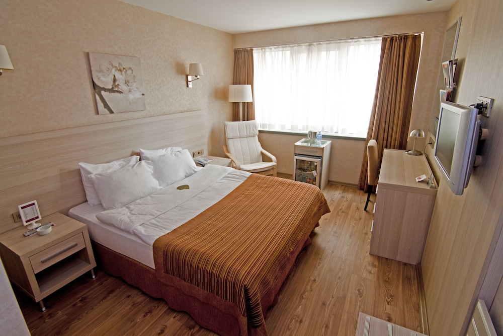 Ramada by Wyndham Ankara 11/40