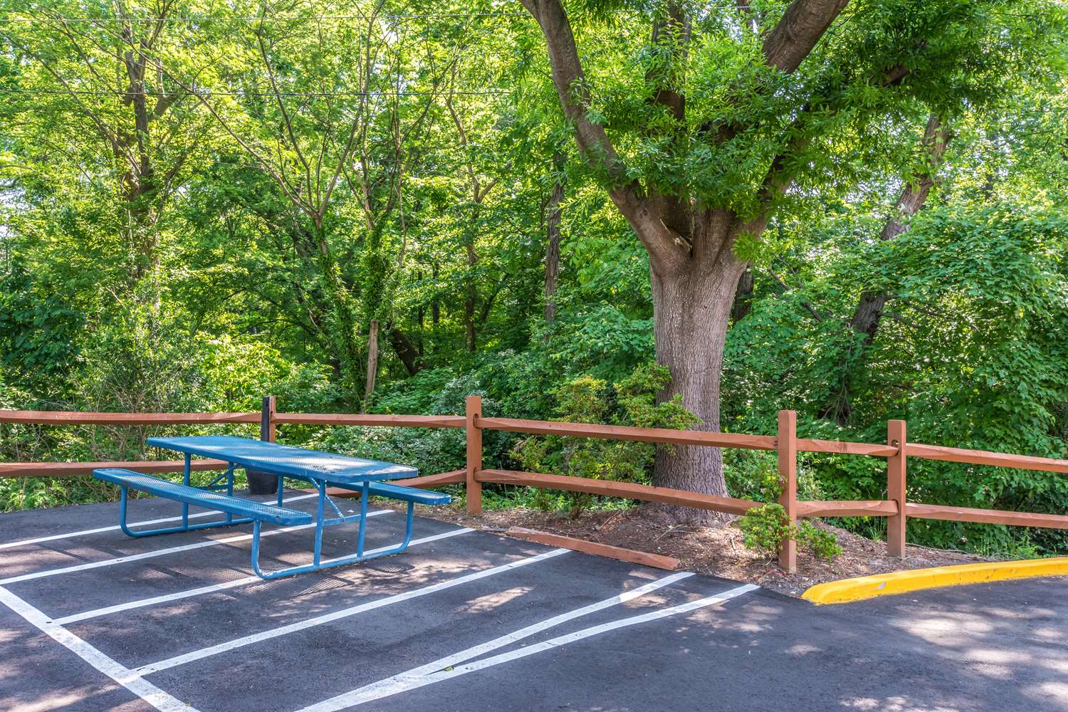 Comfort Inn Charlotte Airport Uptown 20/40