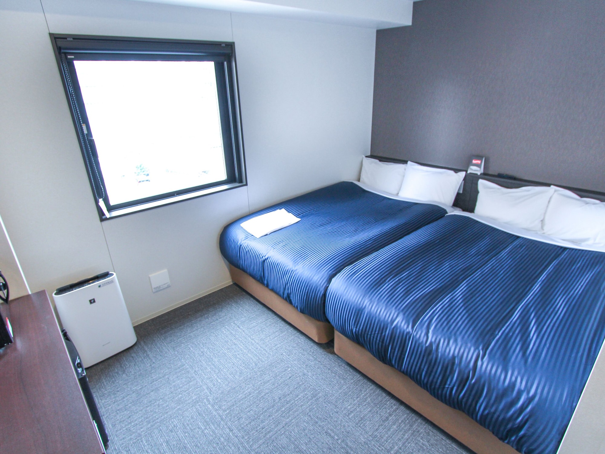 ROOM, TWIN BEDS, PET FRIENDLY