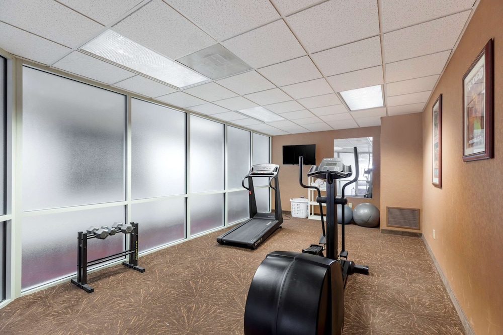 Quality Inn & Suites Wellington - Fort Collins 17/32