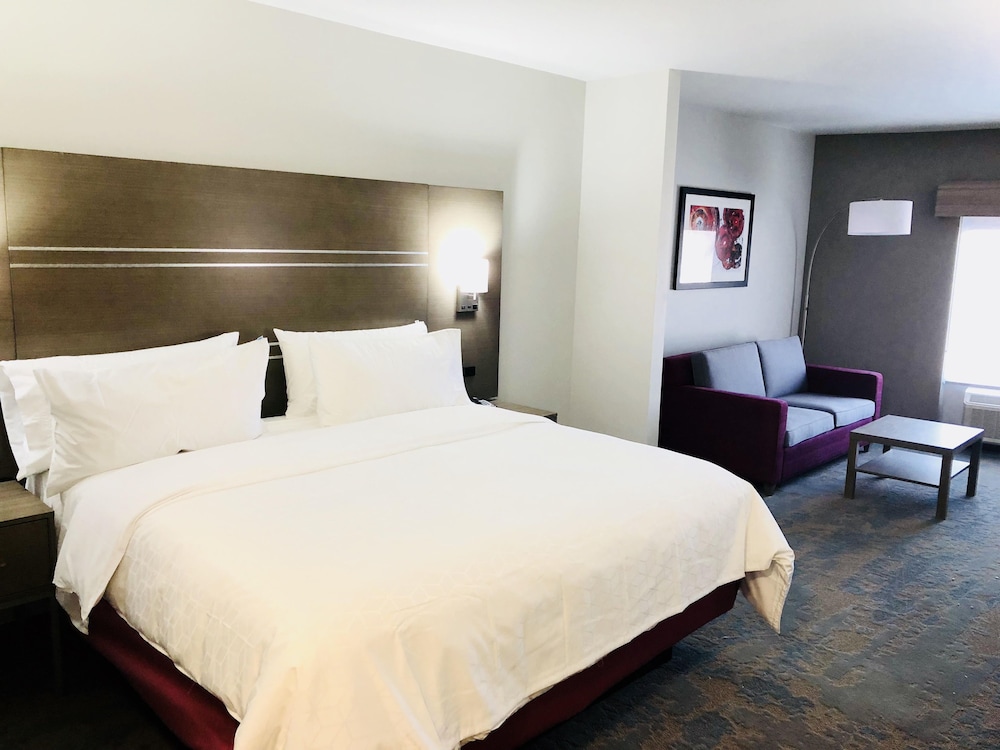 Holiday Inn Express & Suites Memphis Arpt Elvis Presley Blv 21/53