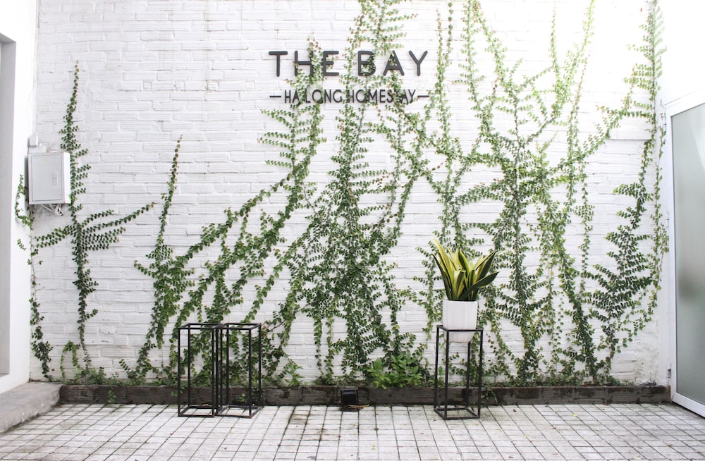 The Bay - Ha Long Homestay 38/40