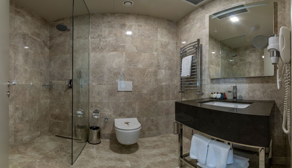 The Hotel Beyaz Saray & Spa, Istanbul 13/65