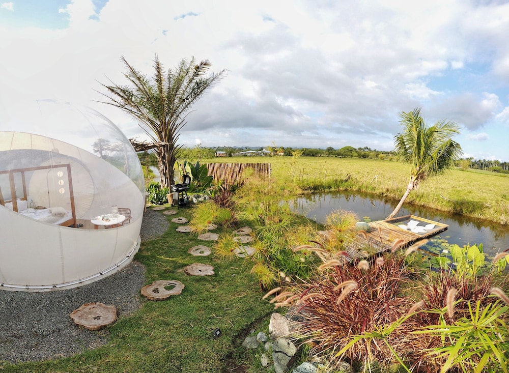 Green Land Bubble Glamping 50/60